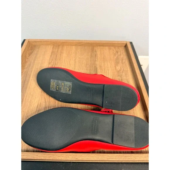 Everlane The Day Buckle Mary Jane Classic Red Nappa Leather 8.5 - Picture 8 of 11